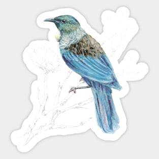 Mr Tui , New Zealand native bird Sticker